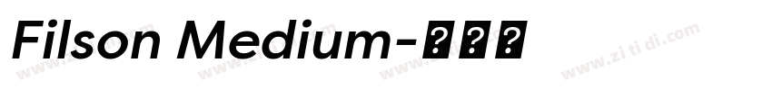 Filson Medium字体转换